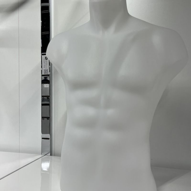 Image 2 : Busto uomo in plastica biaco ...