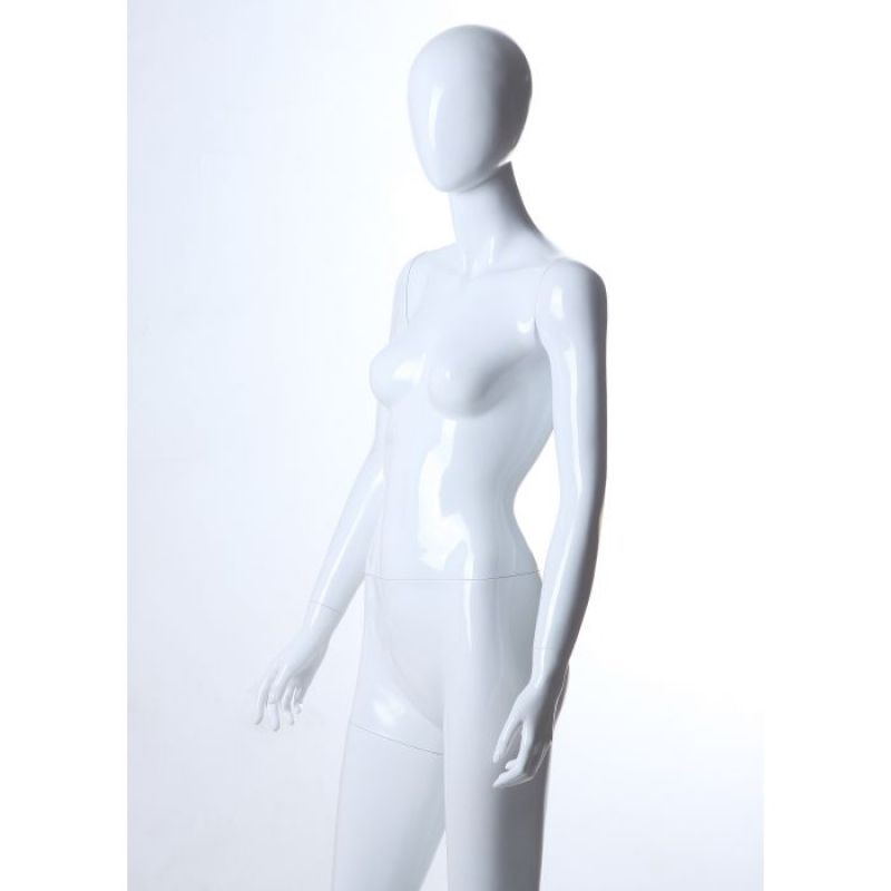 Image 6 : Economic mannequins for ladies abstract ...