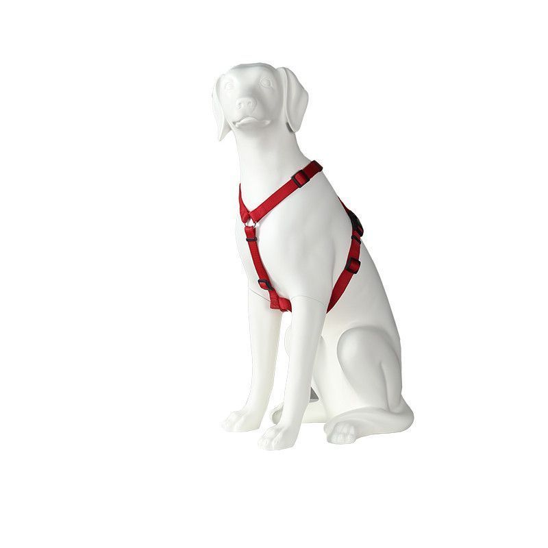 Image 3 : Manichino bianco per cane, perfetto ...