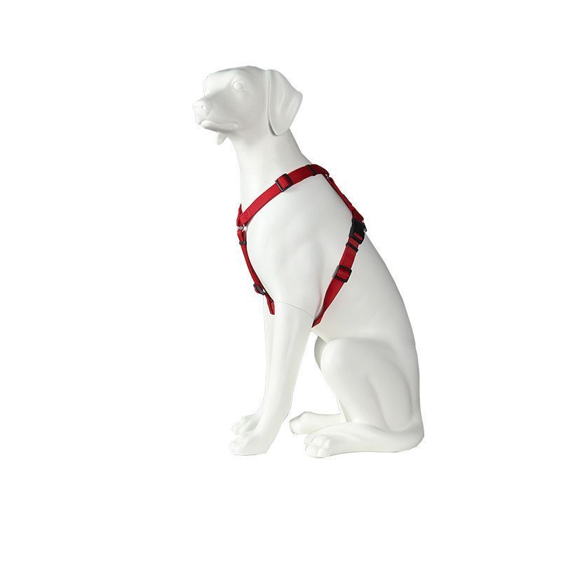 Image 4 : Manichino bianco per cane, perfetto ...