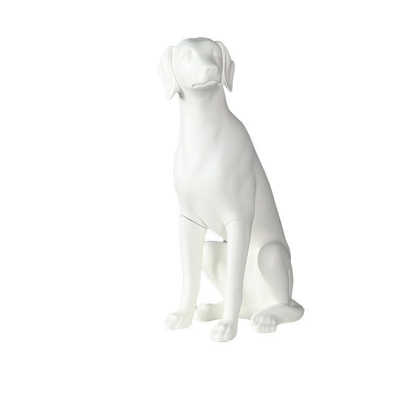 Image 2 : Mannequin chien de couleur blanche ...