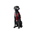 Image 3 : Black Labrador dog model, ideal ...