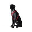 Image 2 : Mannequin chien Labrador noir, id ...