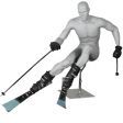 Image 0 : Mannequin vitrine Homme Ski Alpin ...