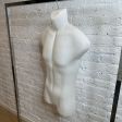 Image 1 : White male mannequin bust with ...